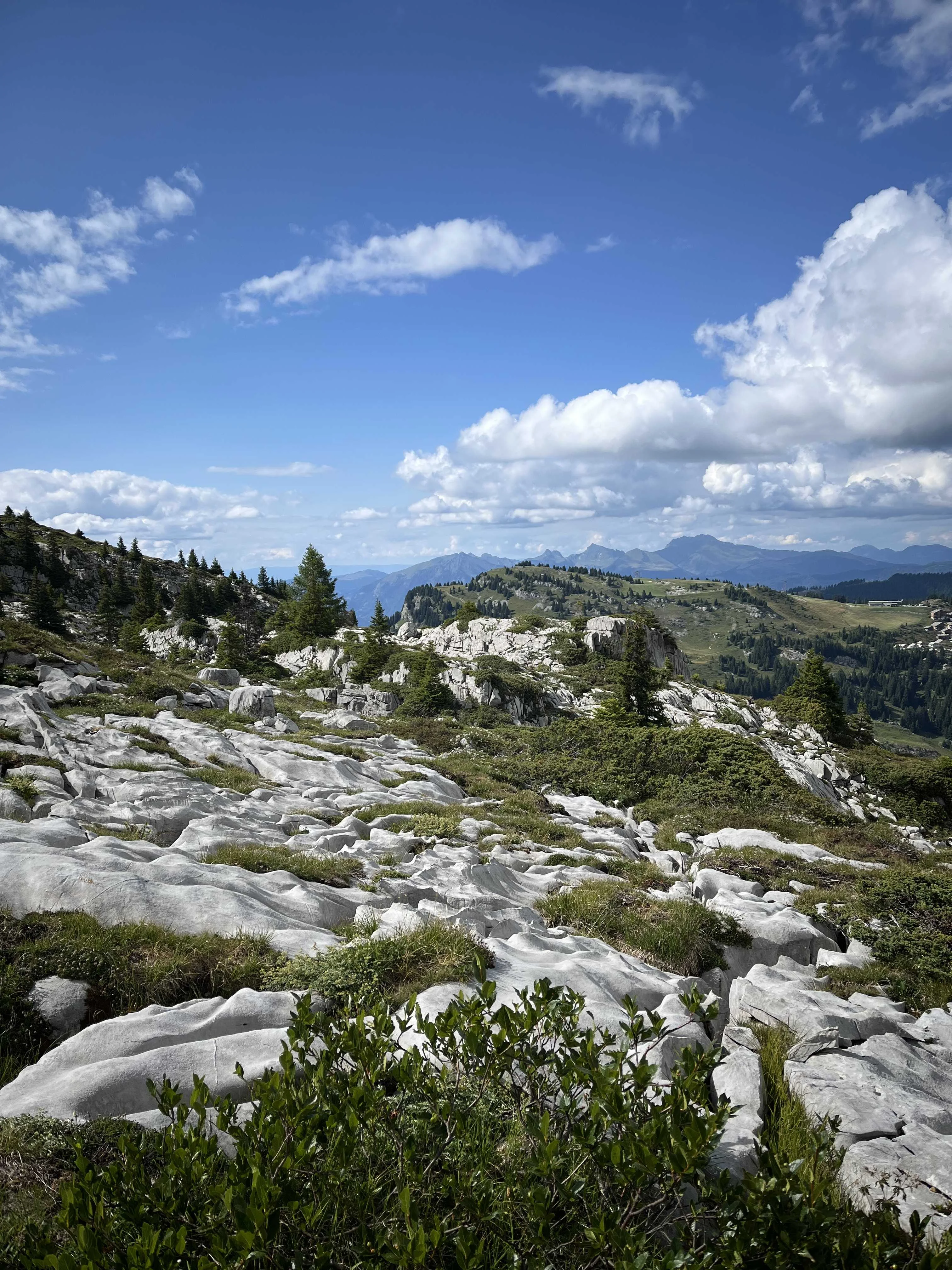 cagnotte pot de départ
