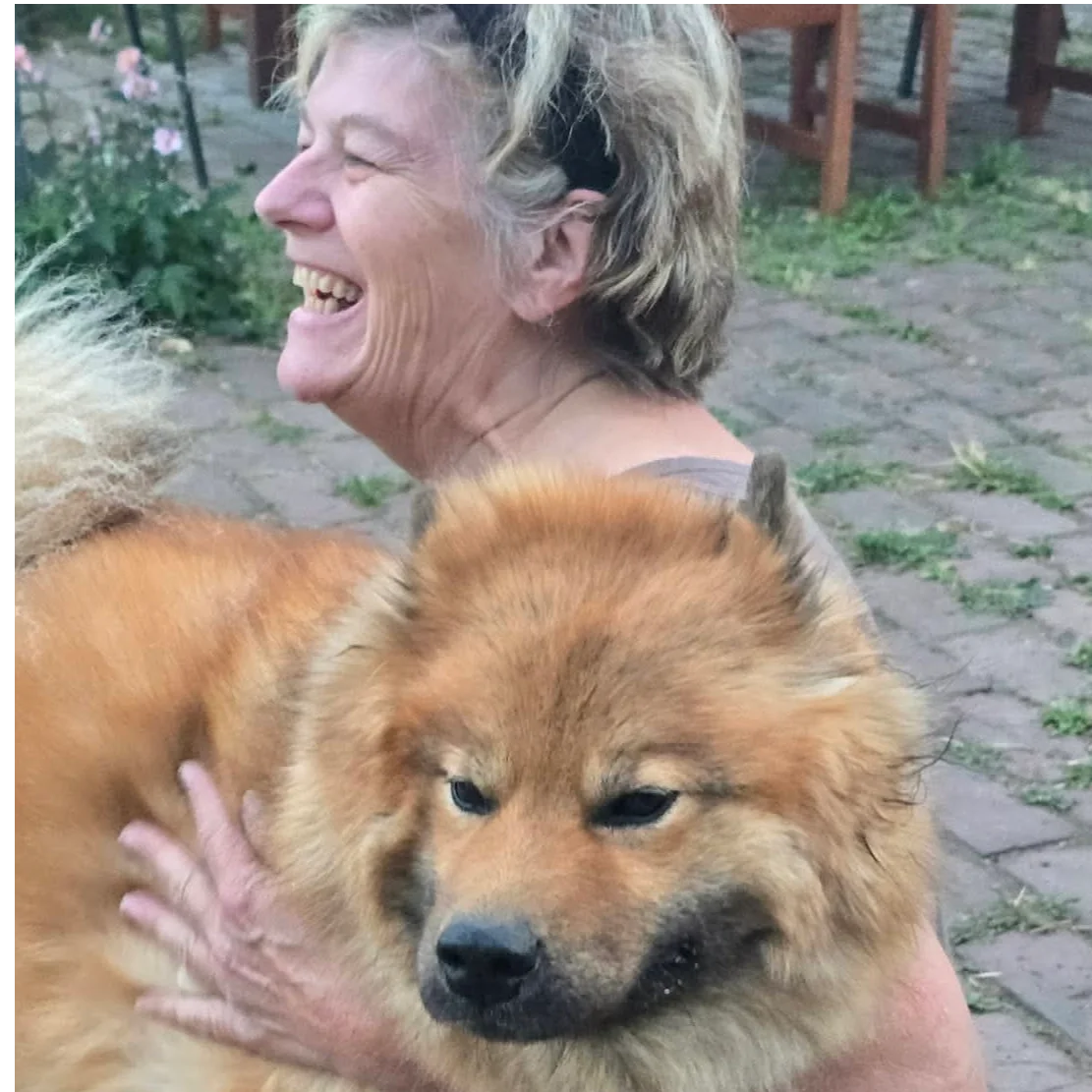 cagnotte solidarité