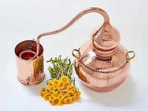 cagnotte pot de départ
