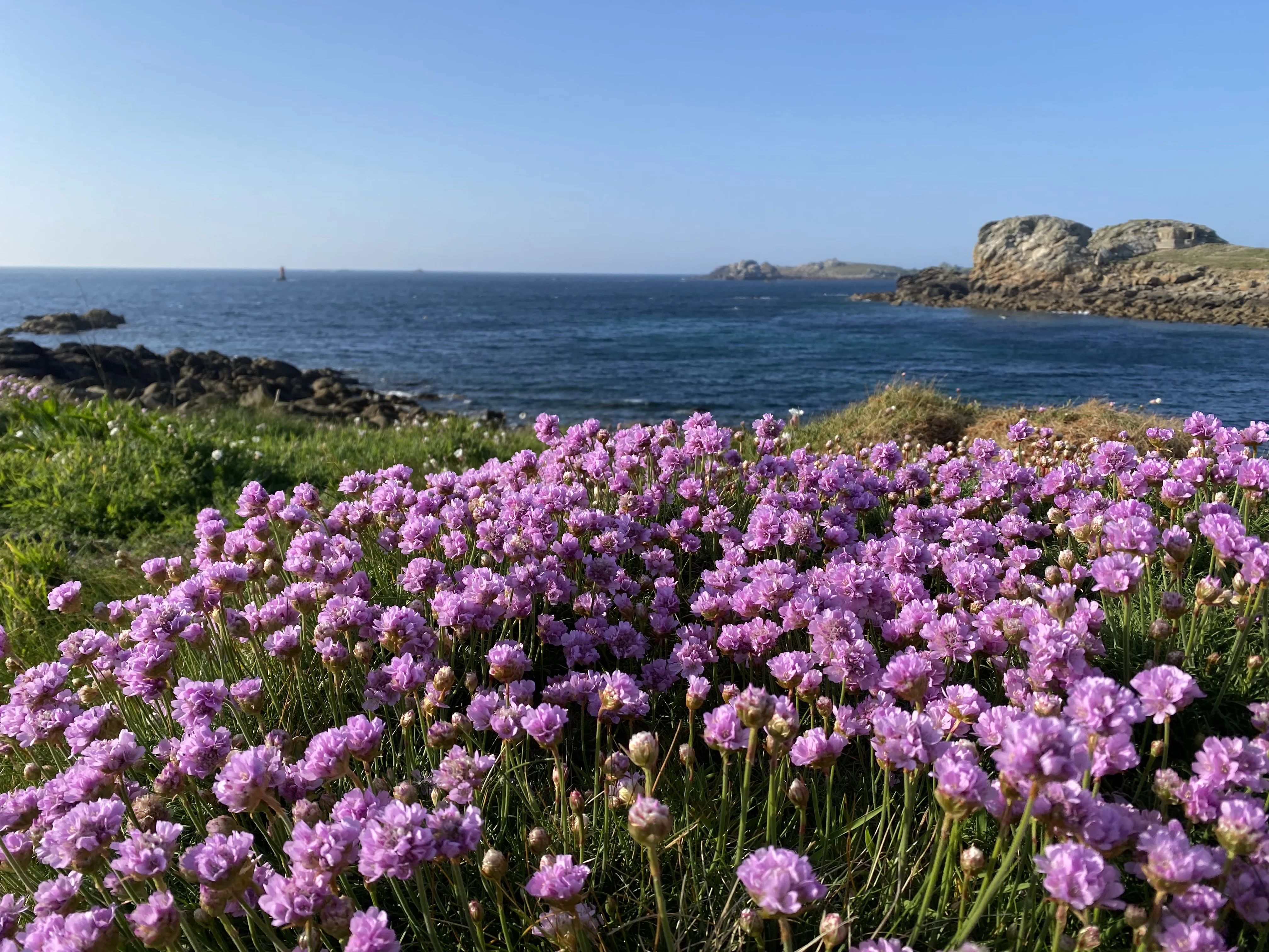 cagnotte pot de départ