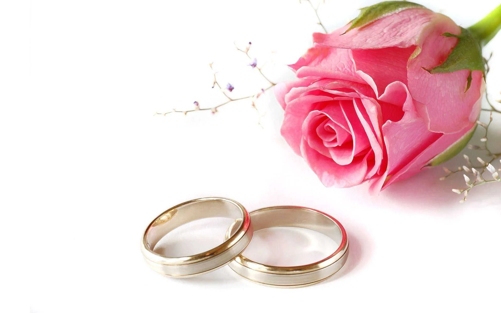 cagnotte mariage