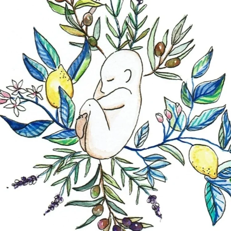 cagnotte naissance