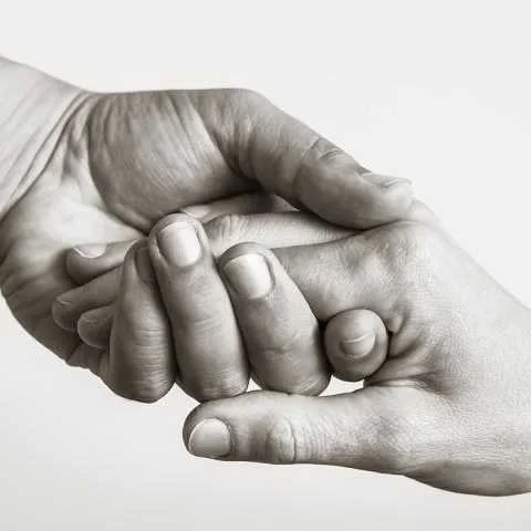 cagnotte solidarité