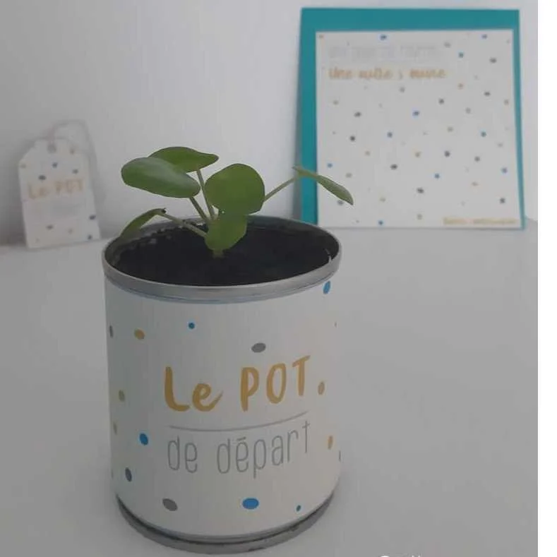 cagnotte pot de départ