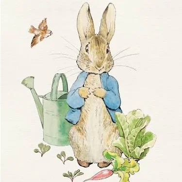 cagnotte naissance
