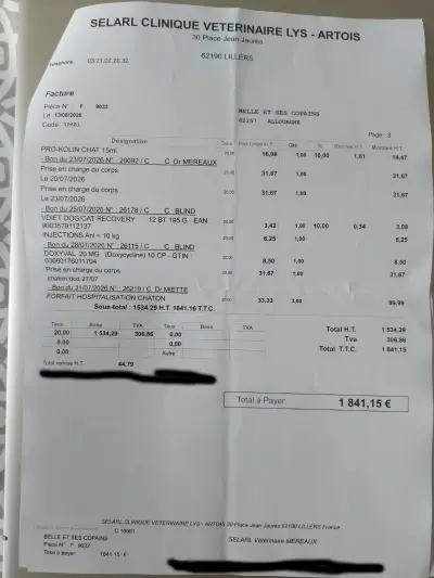 6aaa4ddeae025.webp
