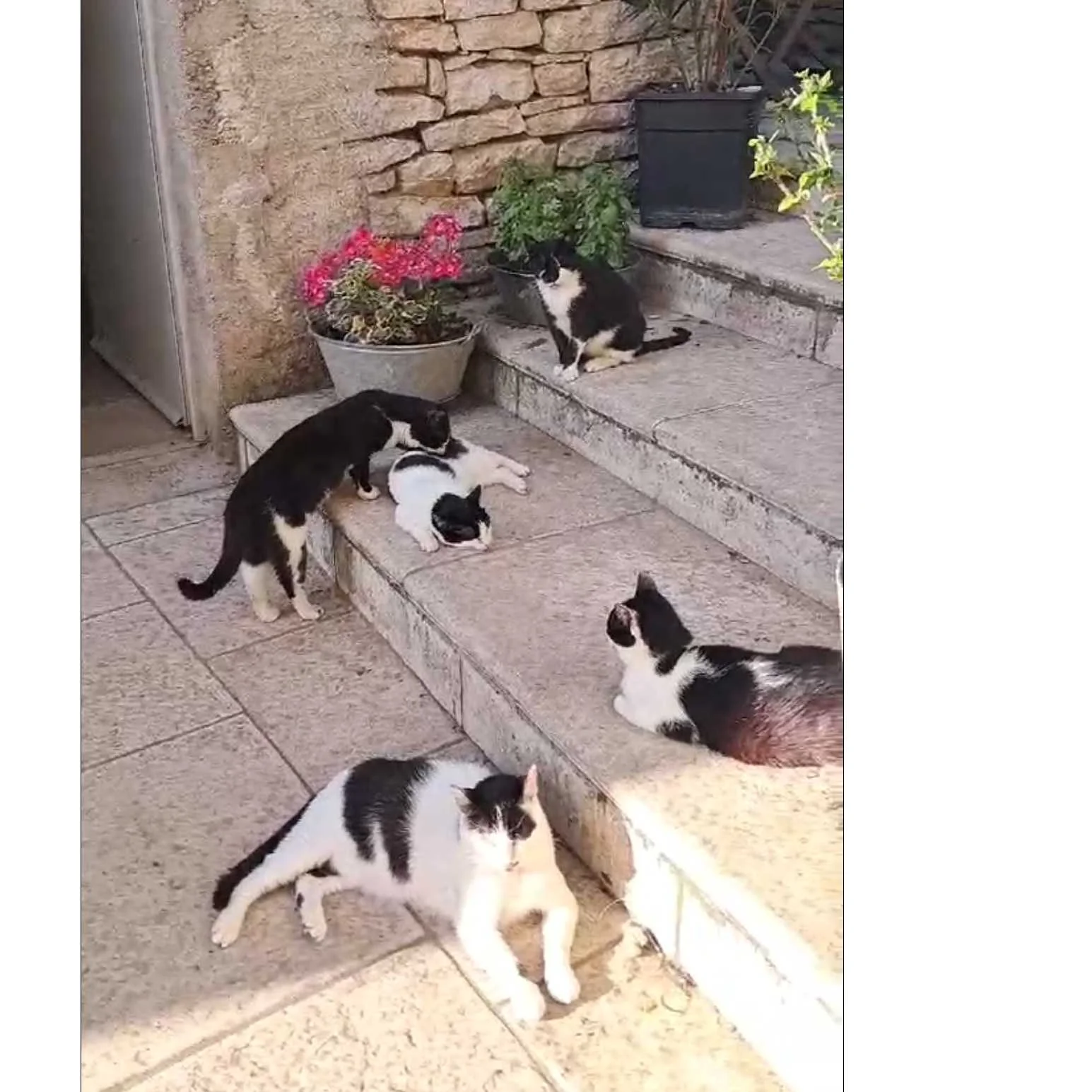 cagnotte pourboire