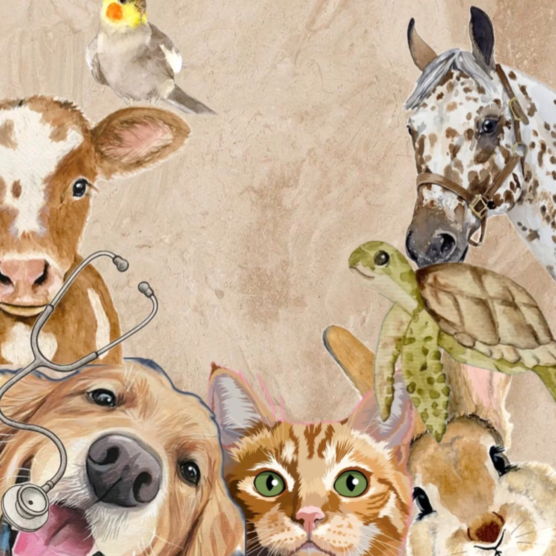 cagnotte cause animale
