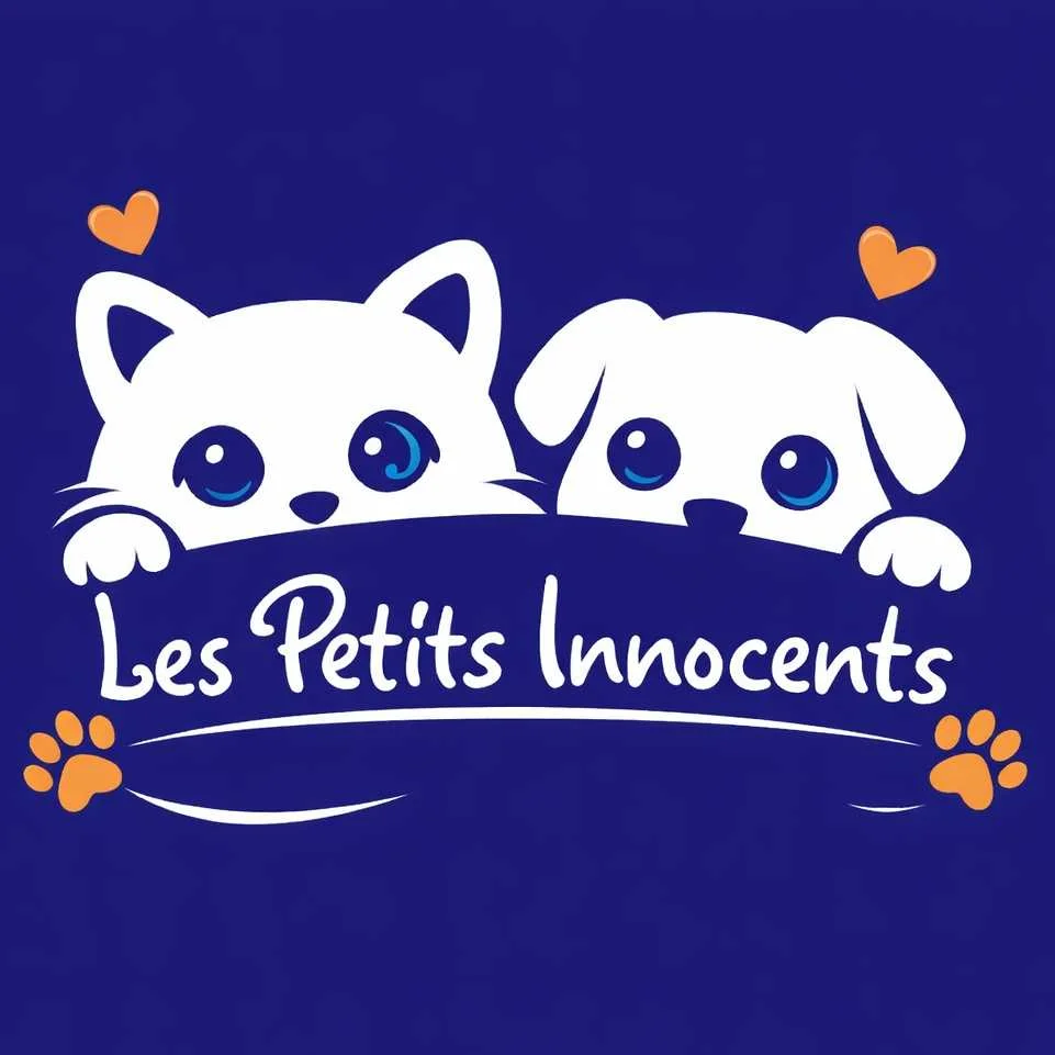cagnotte cause animale