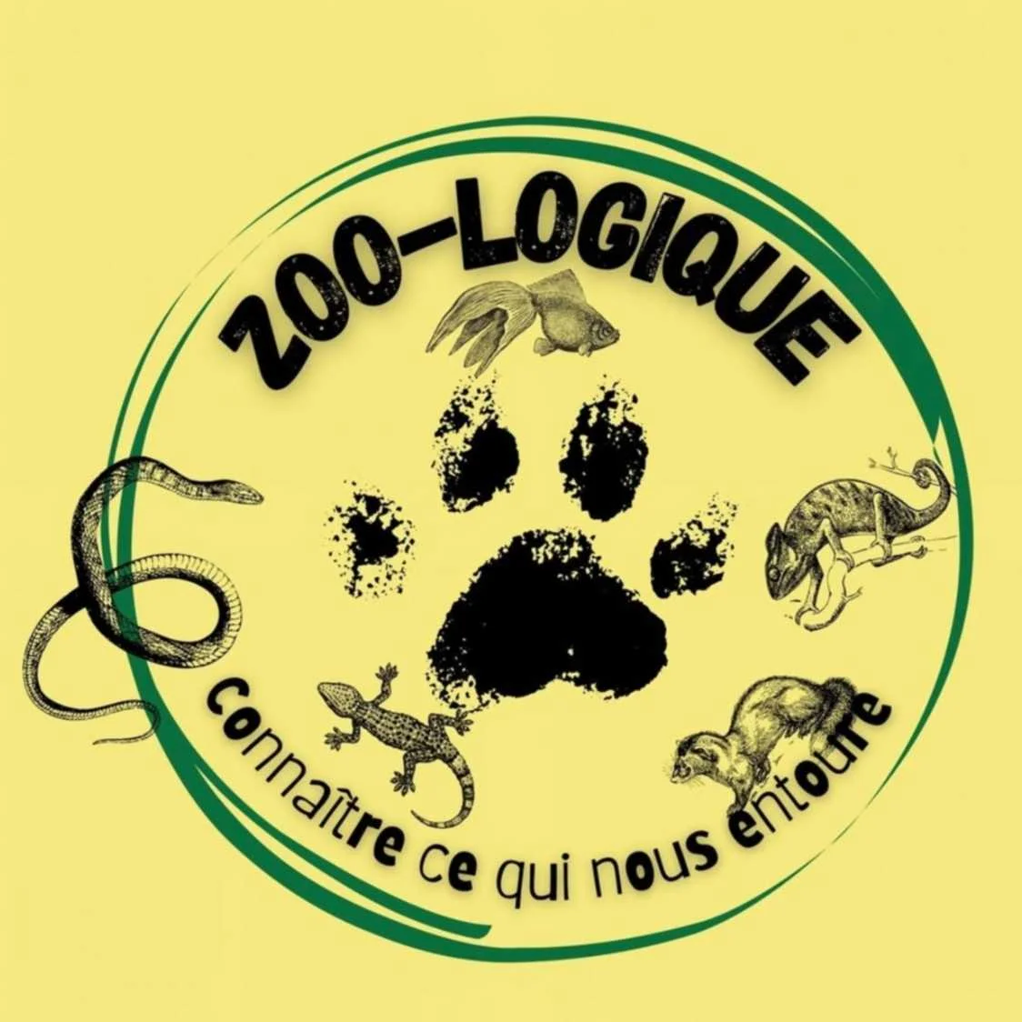 cagnotte association