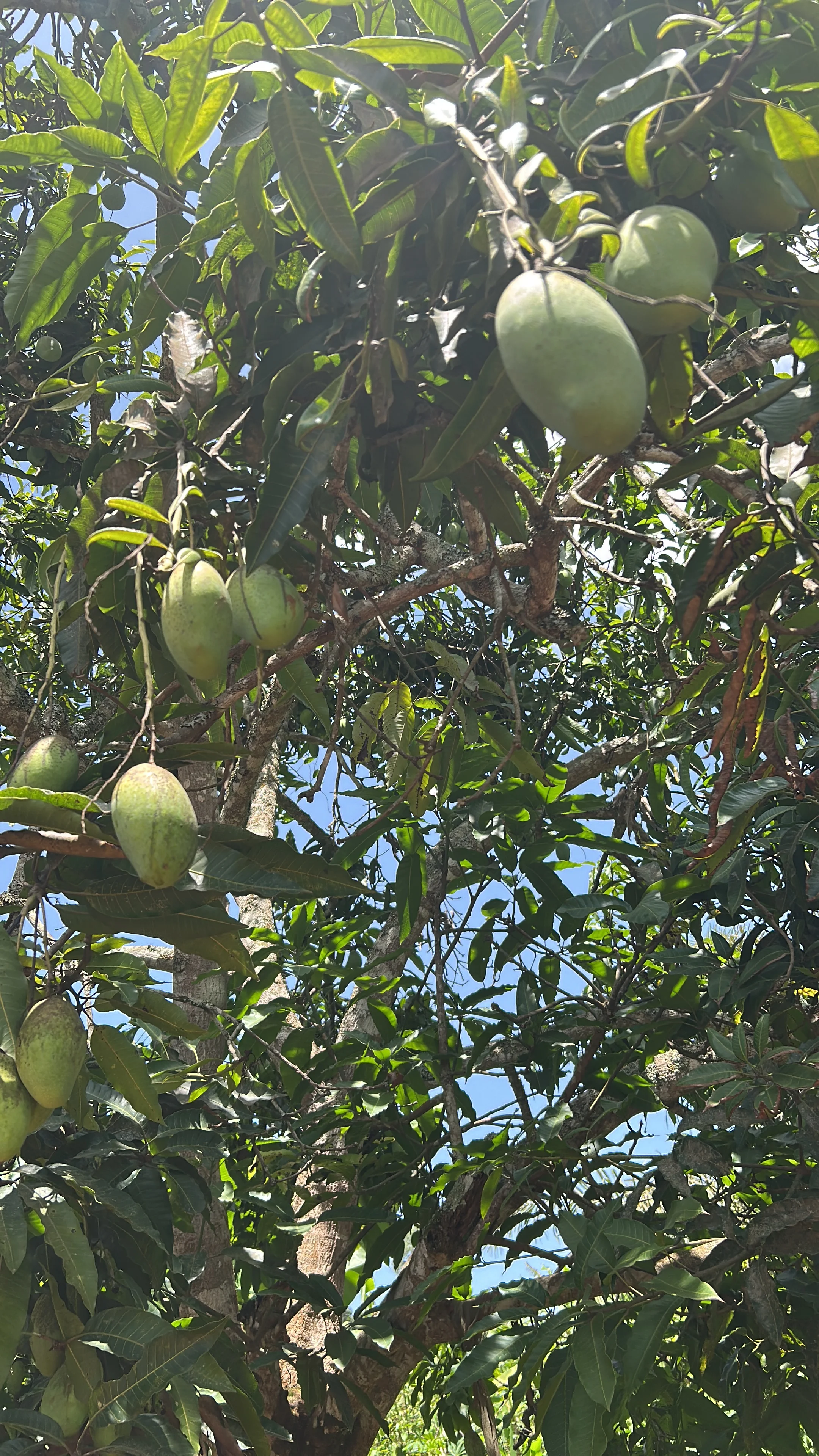 cagnotte agriculture