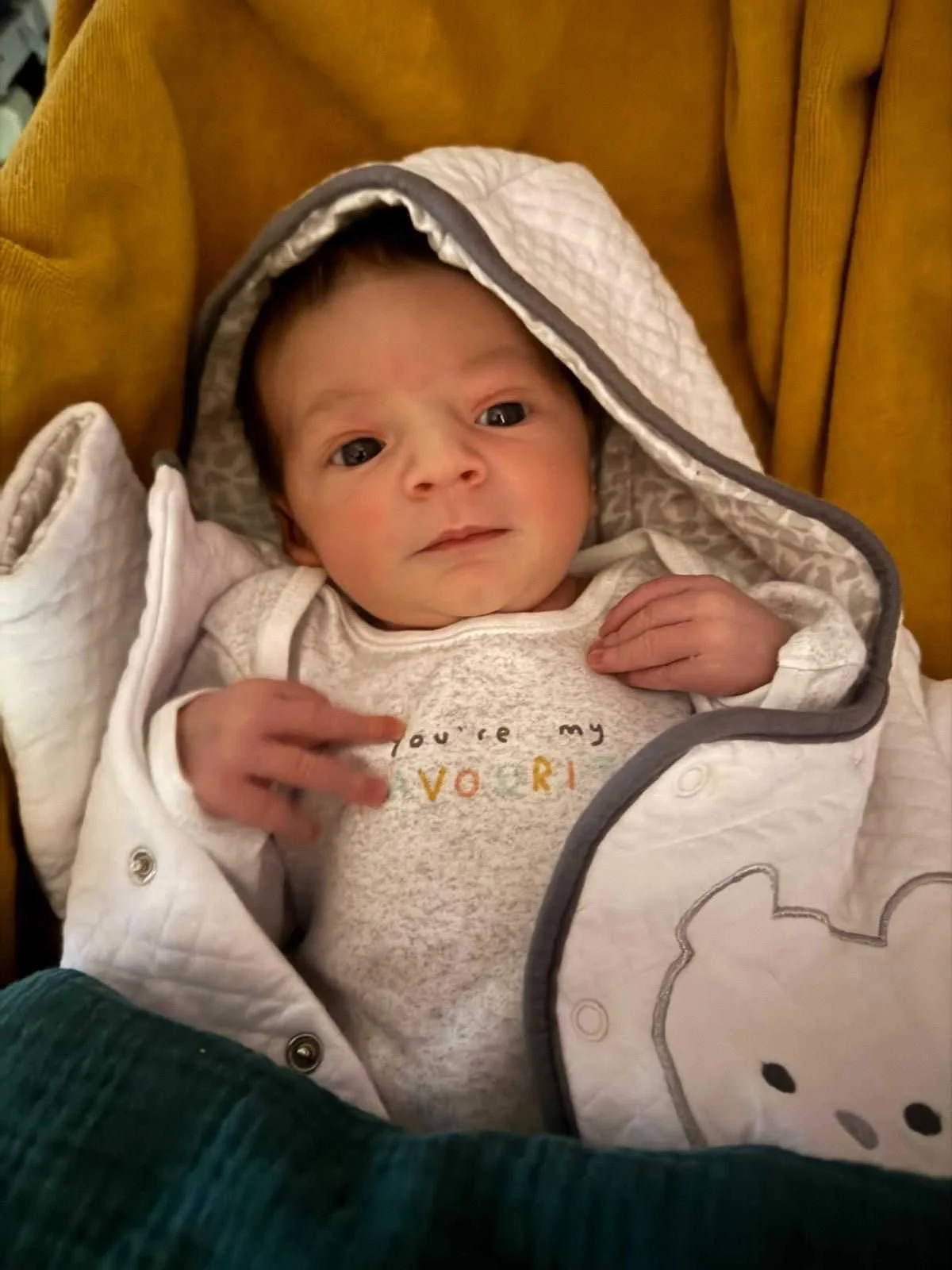 cagnotte naissance