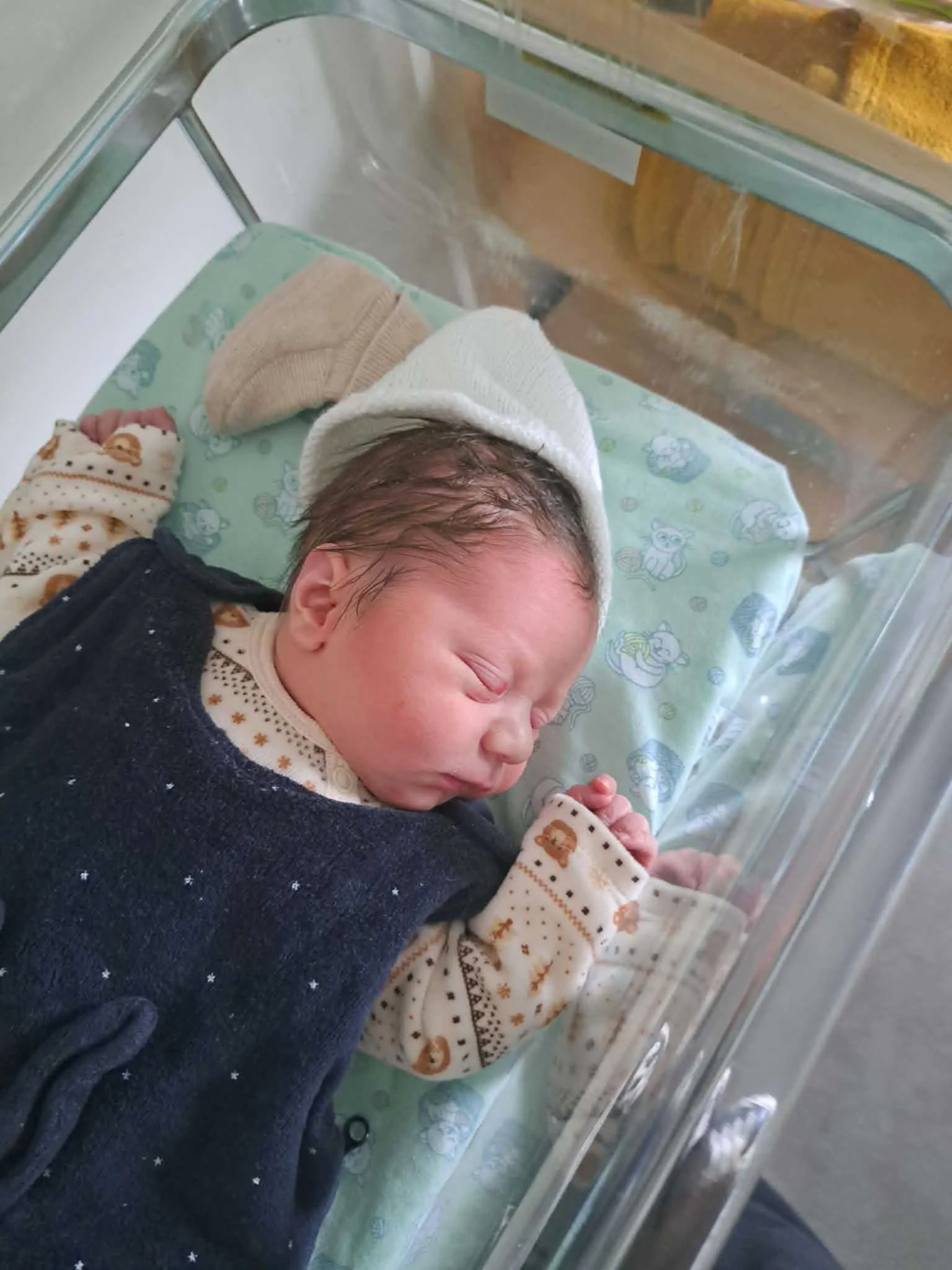 cagnotte naissance