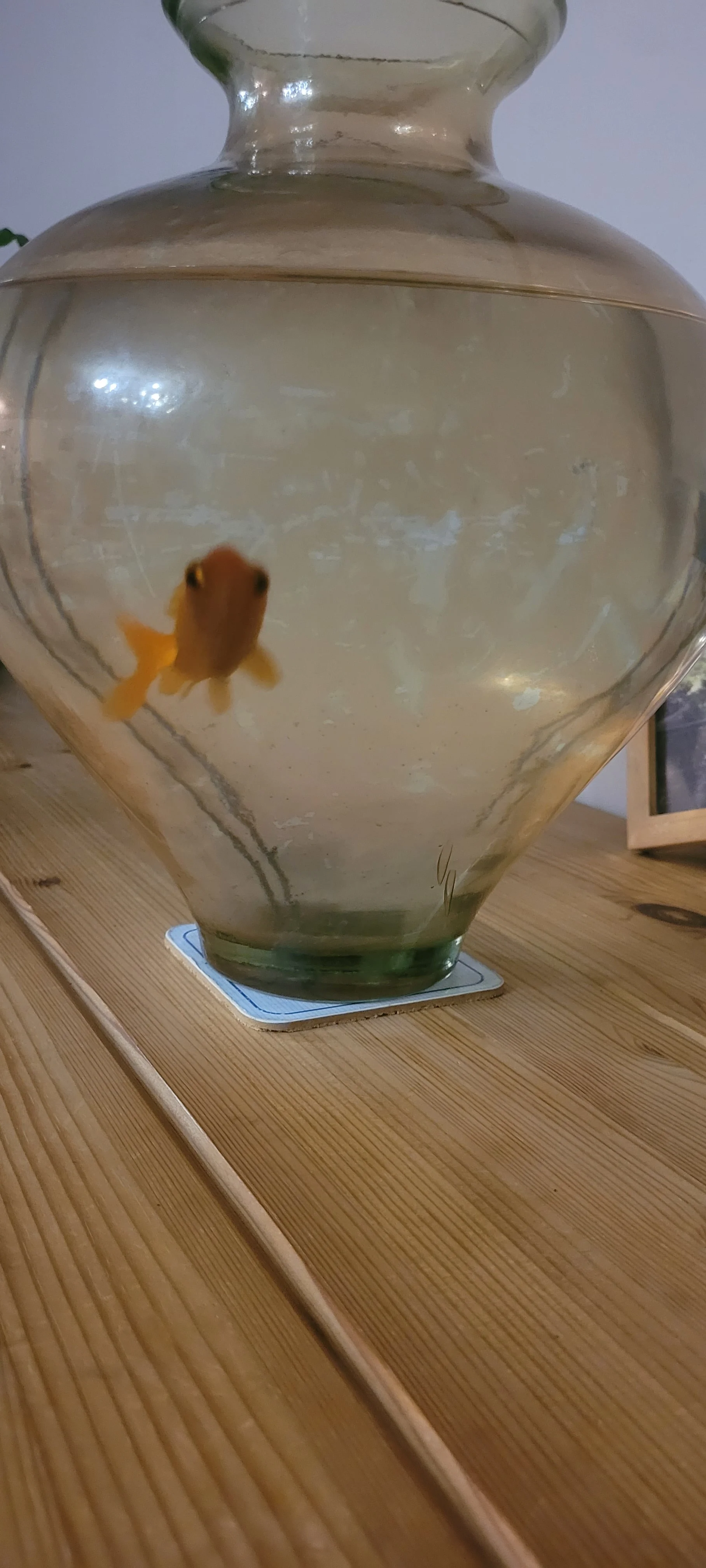 cagnotte pot de départ