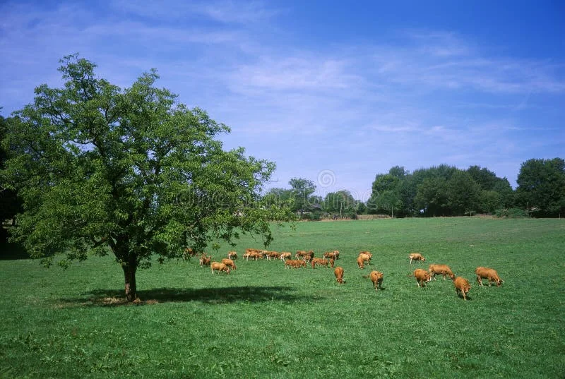 cagnotte agriculture
