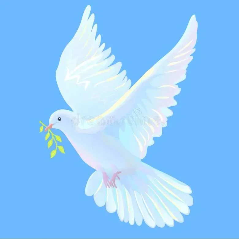 cagnotte solidarité