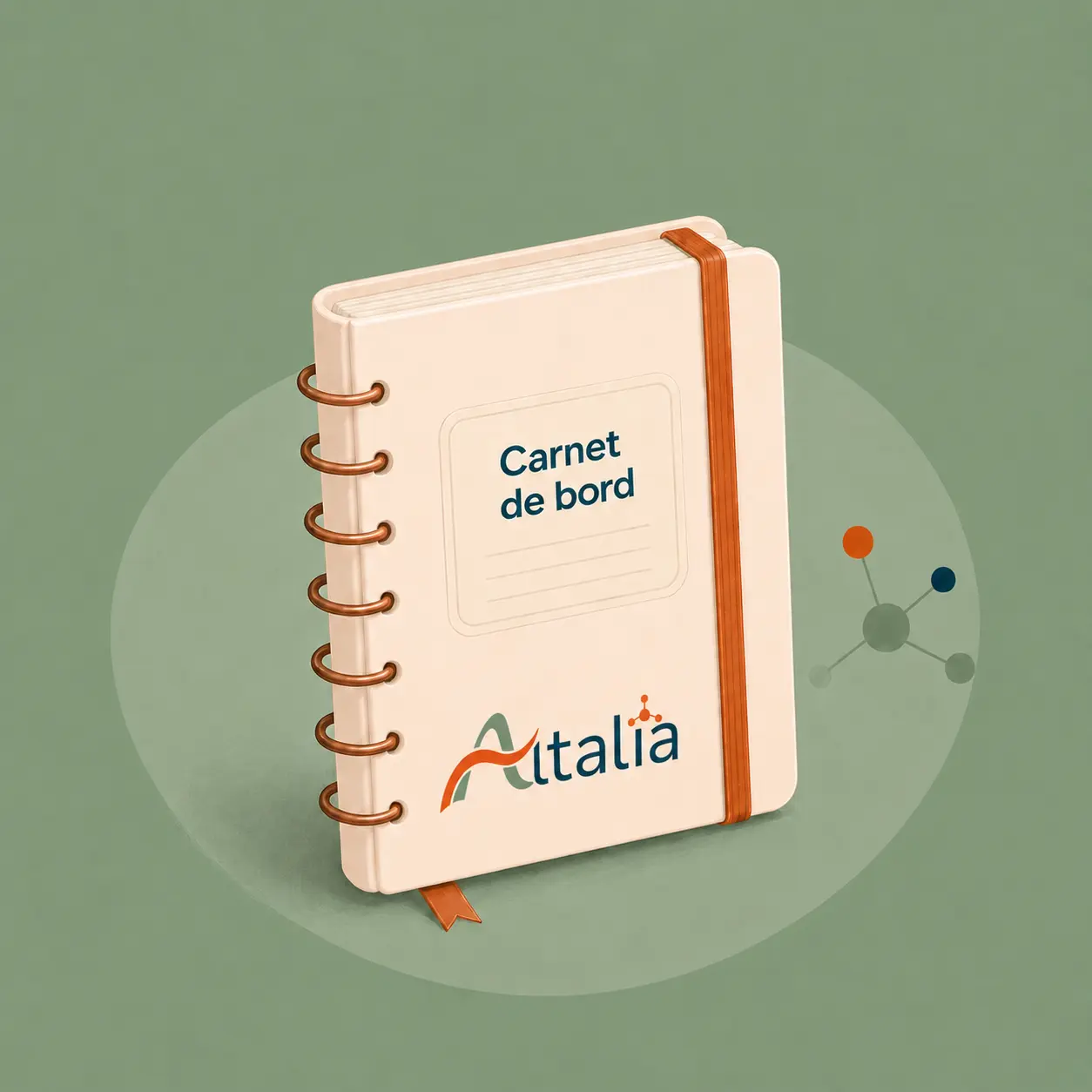Le carnet de bord d'Altalia