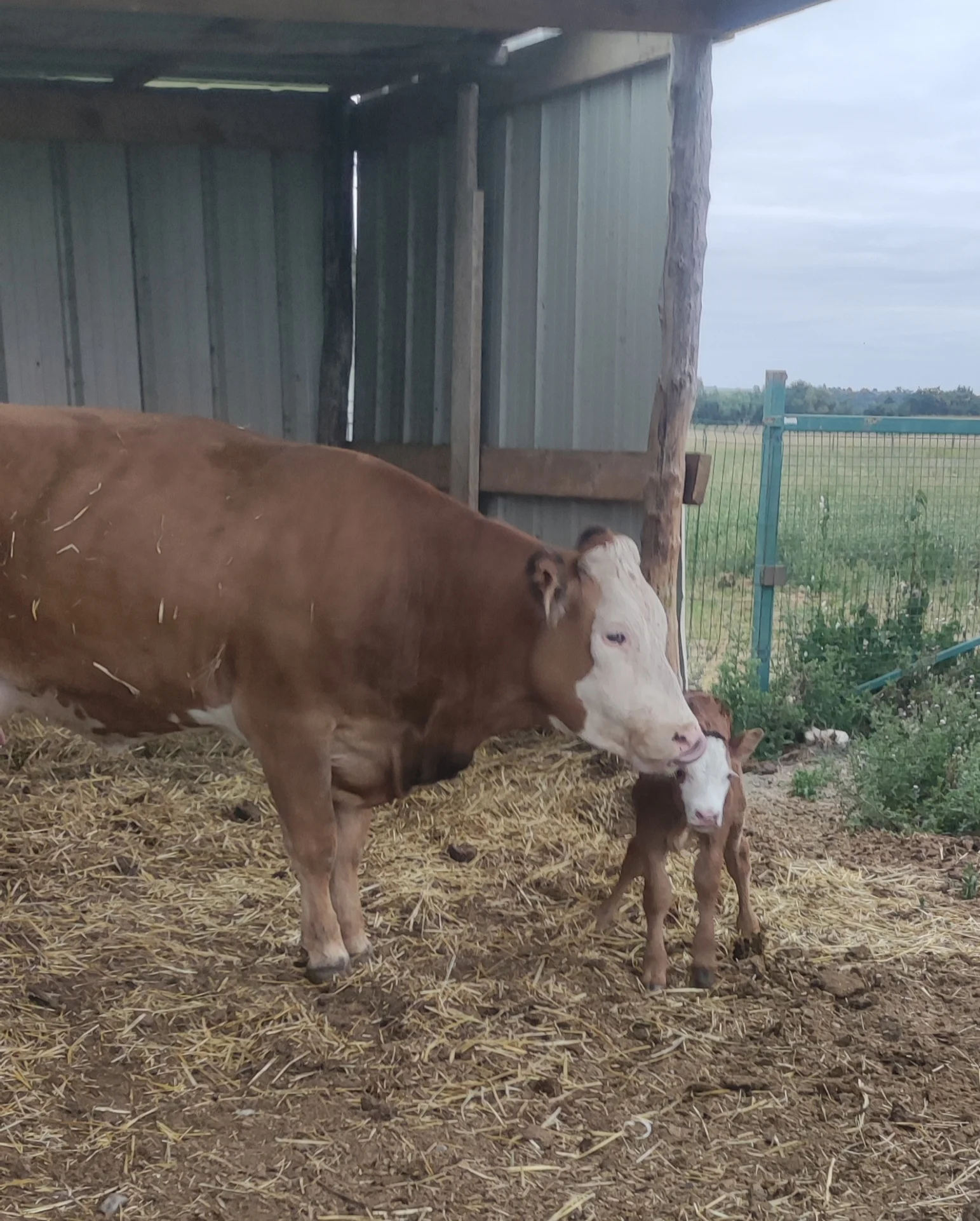 cagnotte agriculture