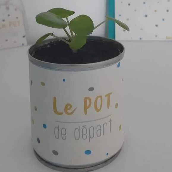 cagnotte pot de départ