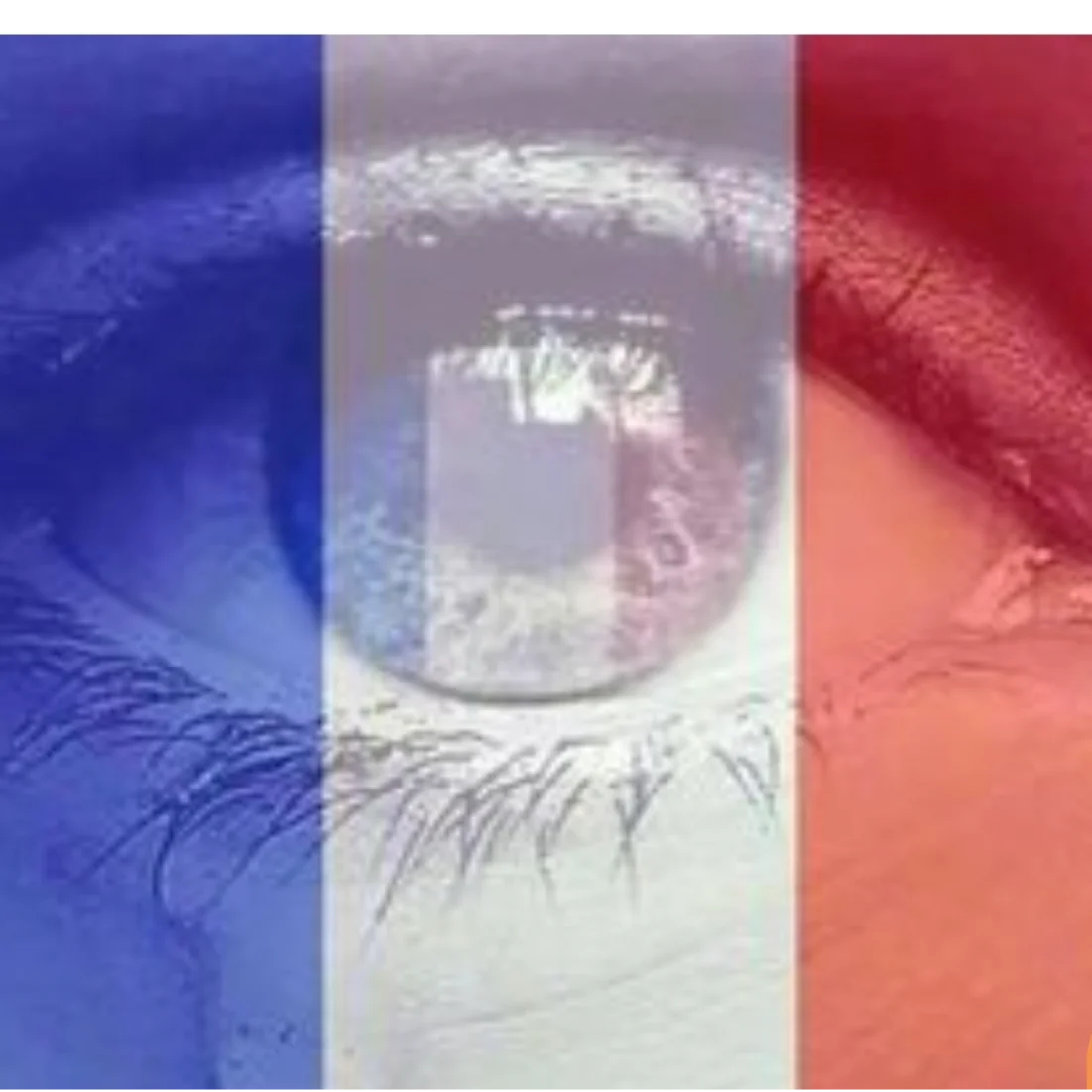 cagnotte solidarité