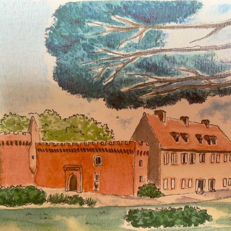 cagnotte soirée