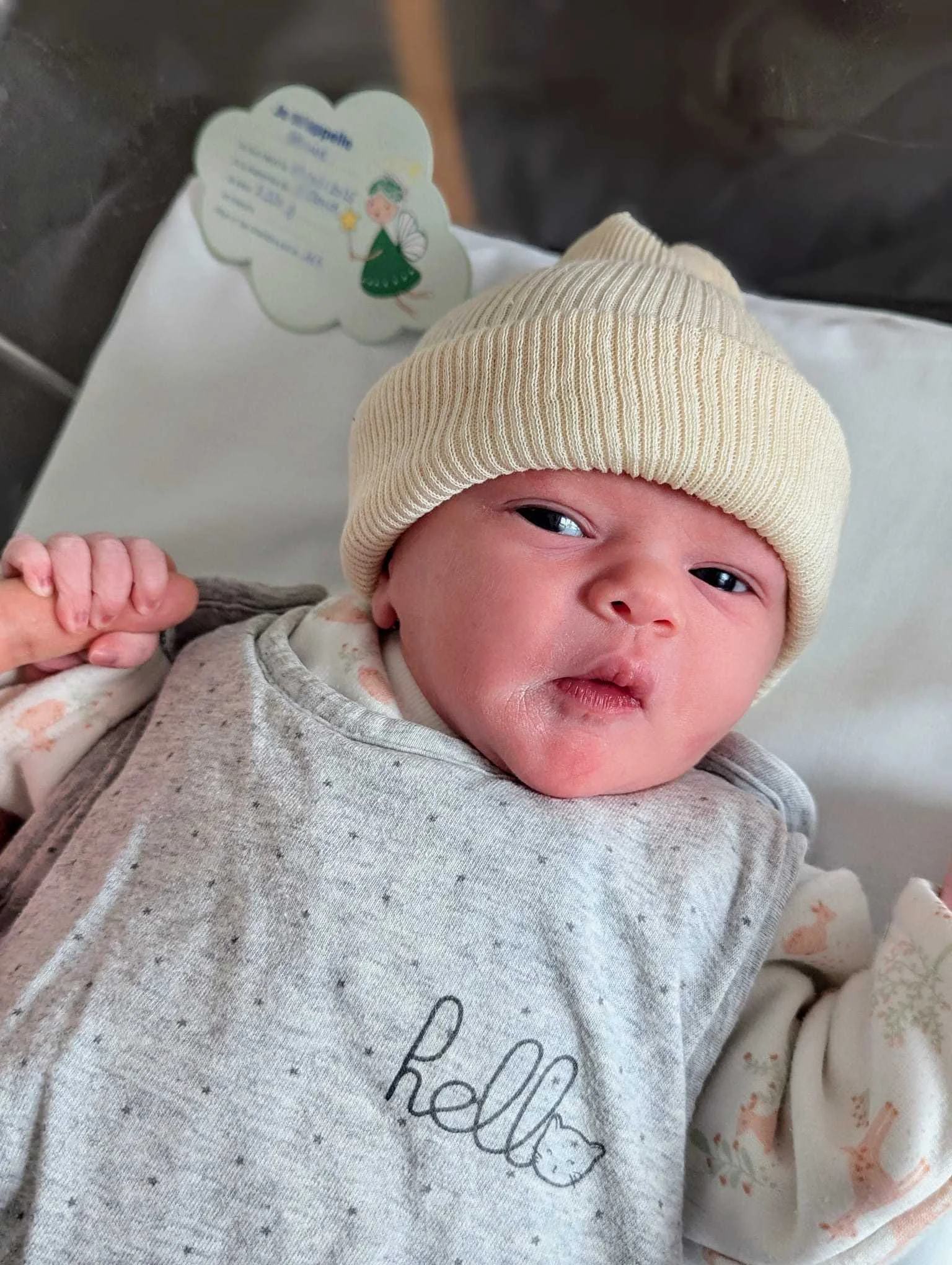 cagnotte naissance