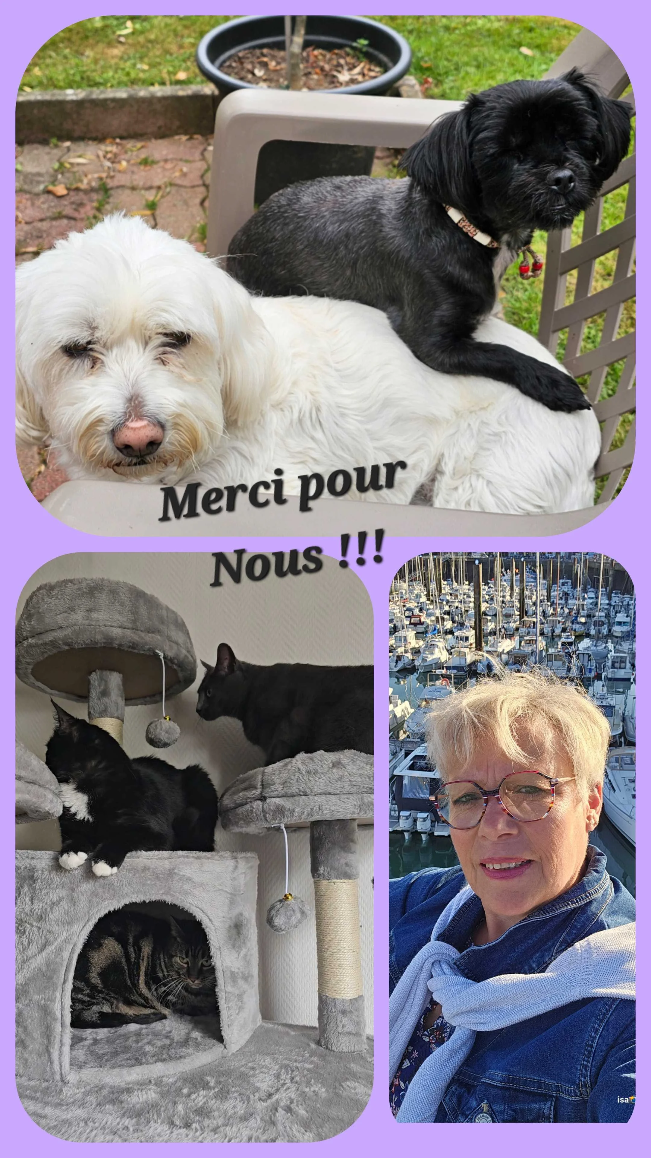 cagnotte voyage