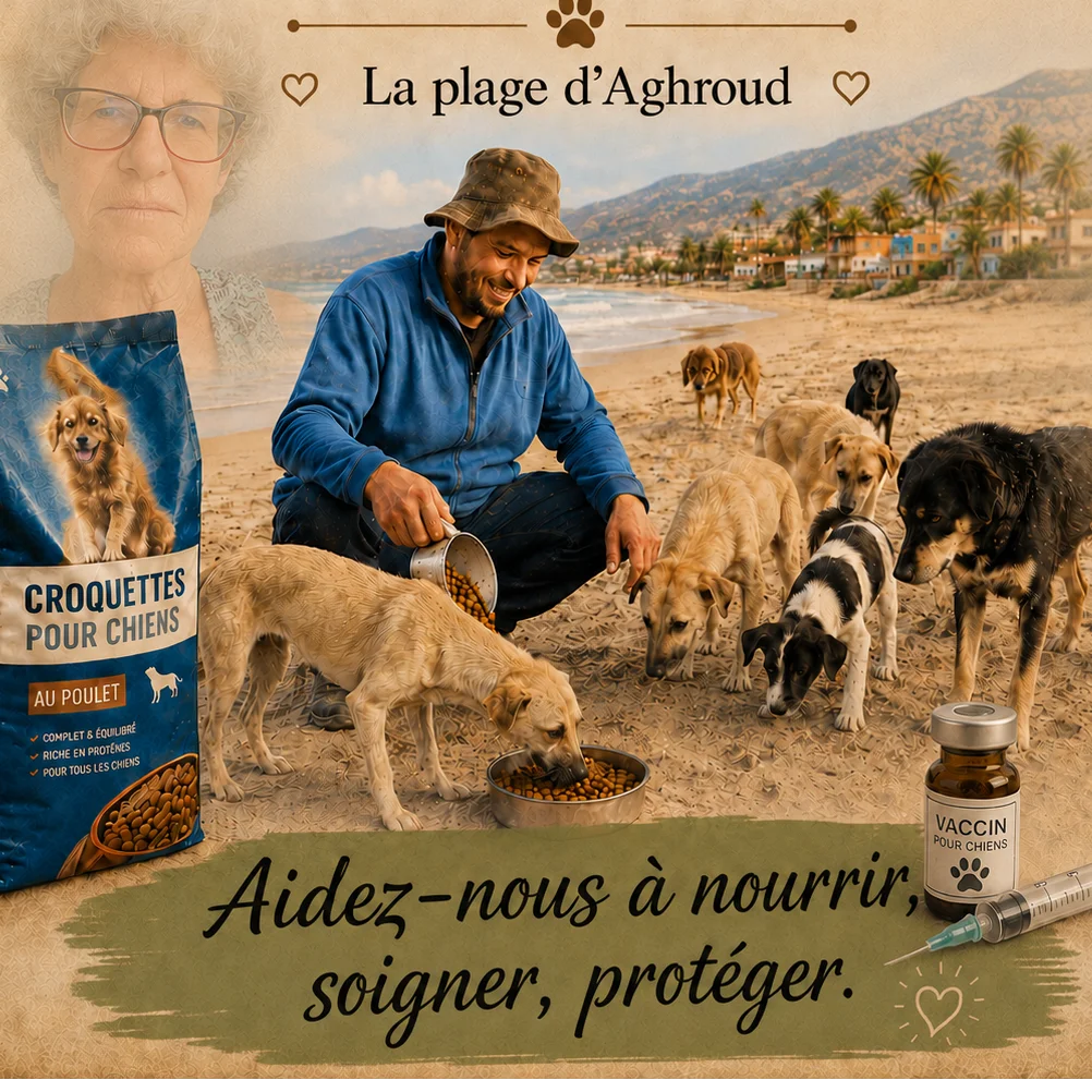 cagnotte cause animale