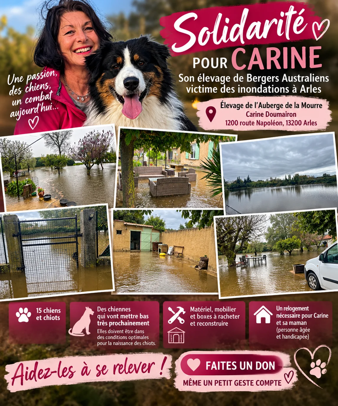 cagnotte cause animale