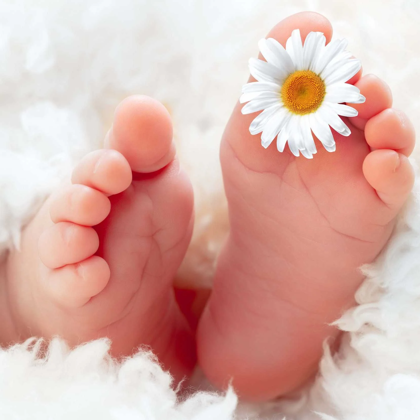cagnotte naissance