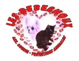 aPLUshmSyJF7mzh8AoaqlKzZAAAAAAAAAA