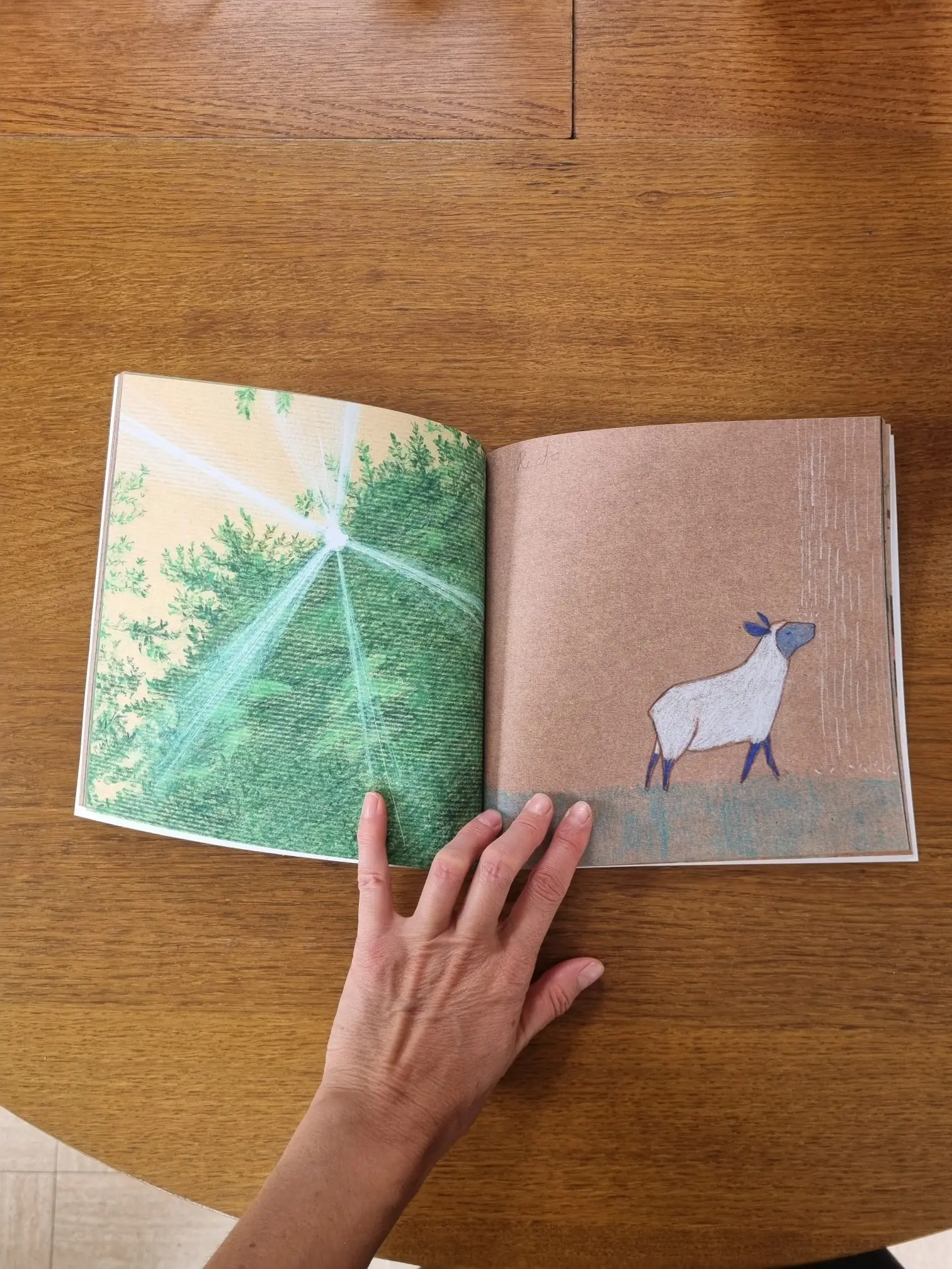 Livre Lou de 65 pages