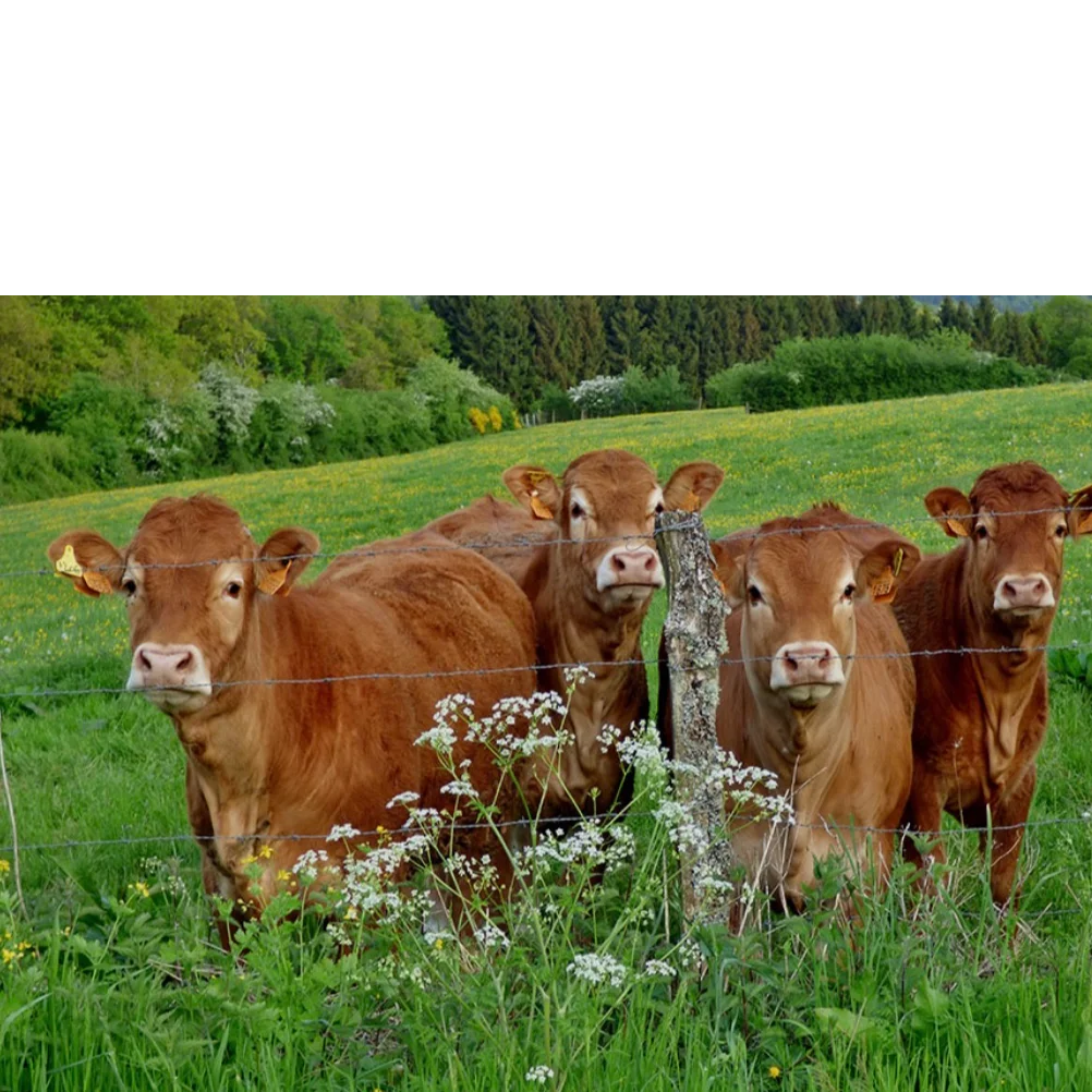 cagnotte agriculture