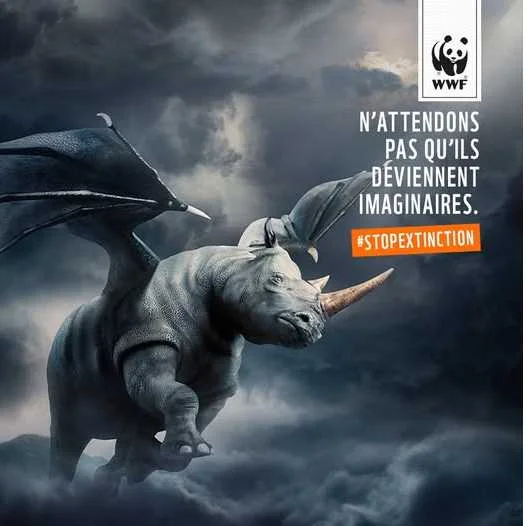 cagnotte cause animale