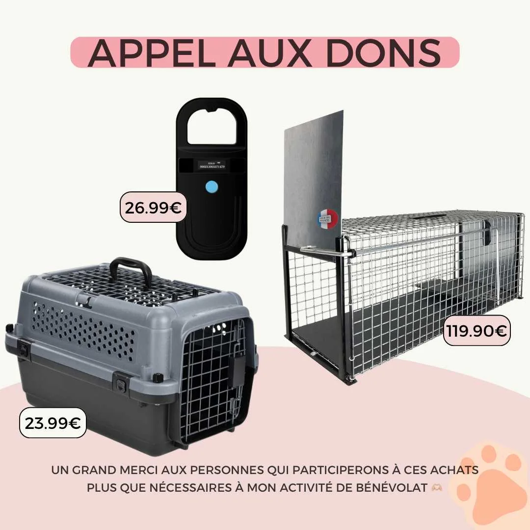 cagnotte cause animale