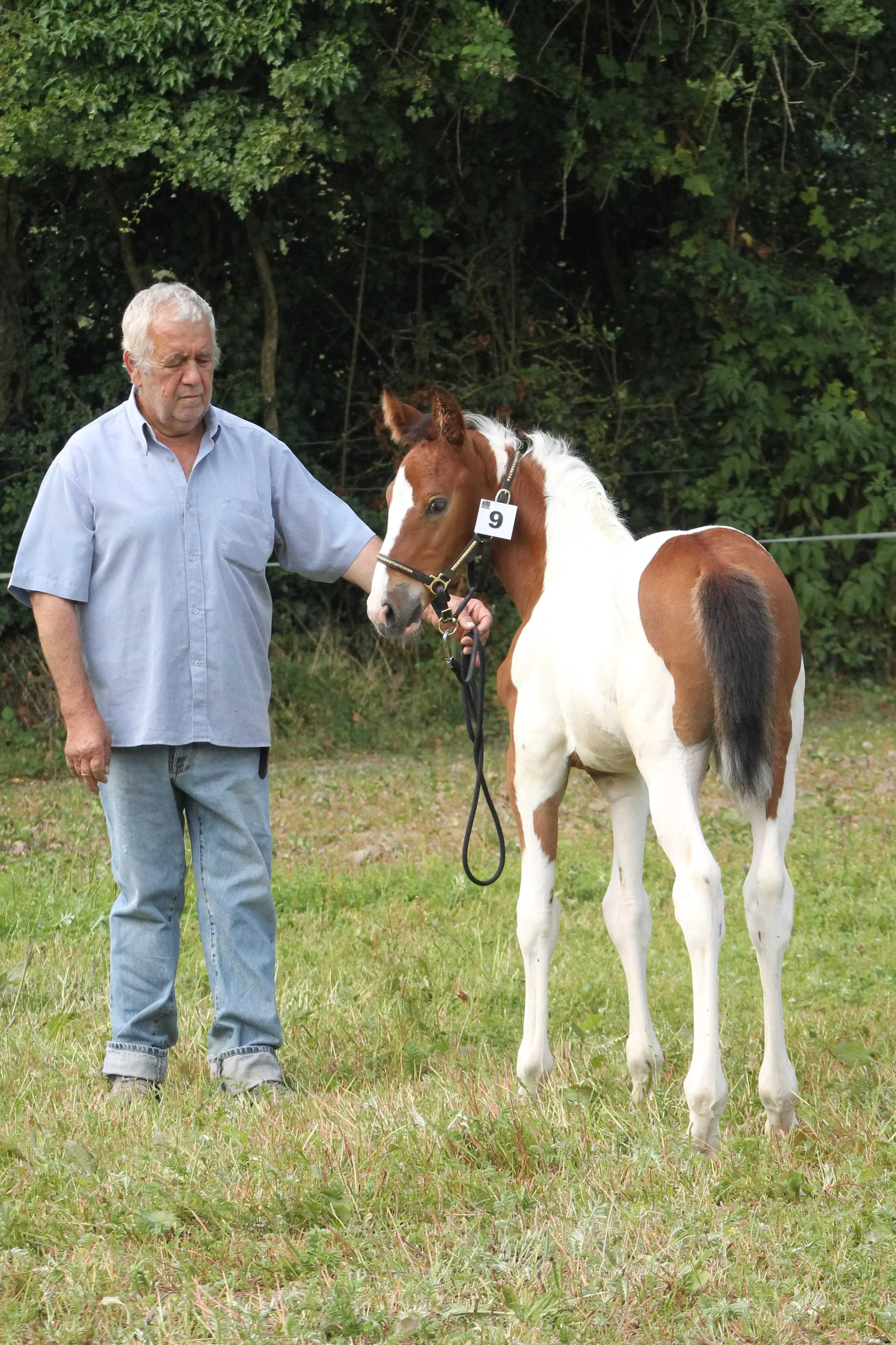 cagnotte obsèques
