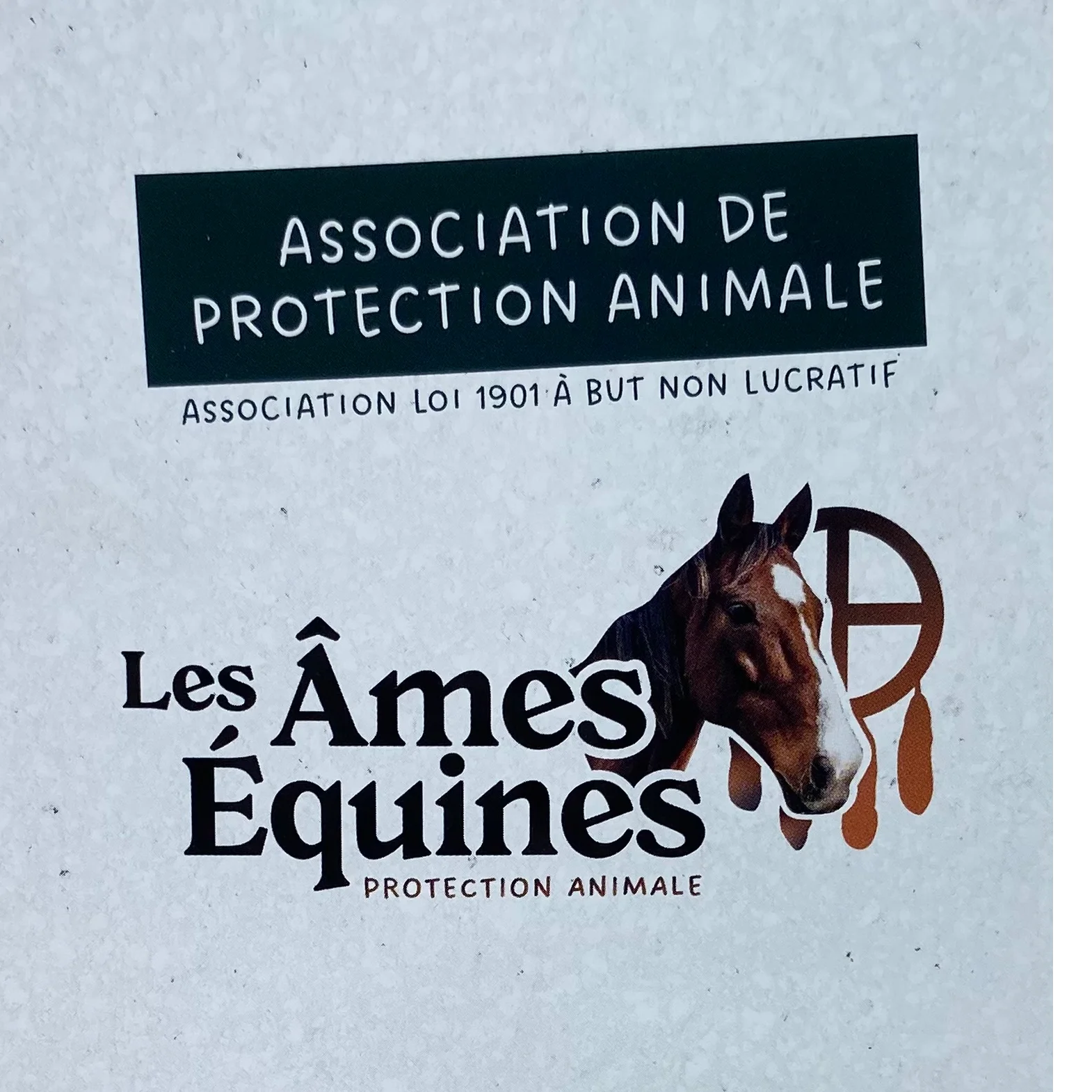cagnotte cause animale
