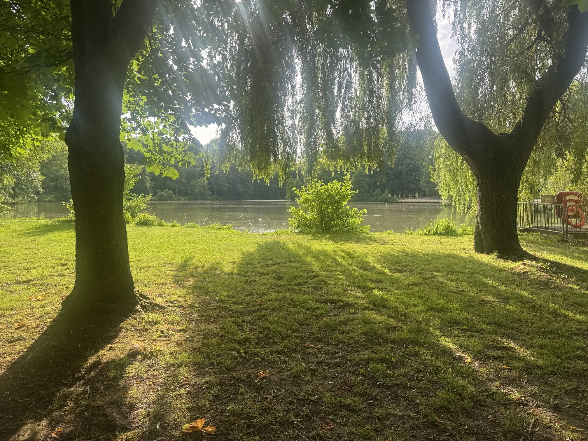4 semaines de vacances au Domaine du Noireau