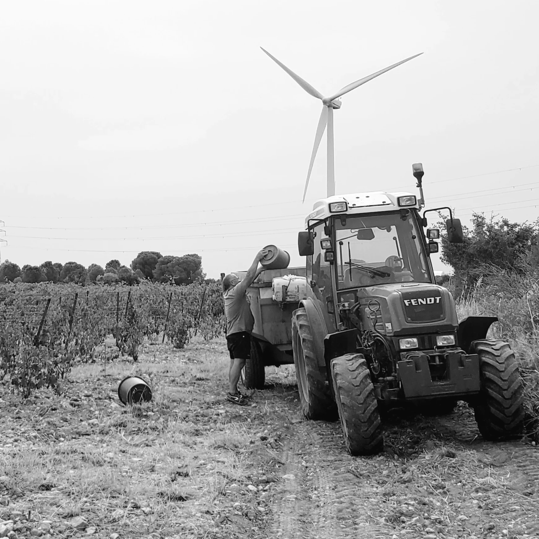 cagnotte pot de départ