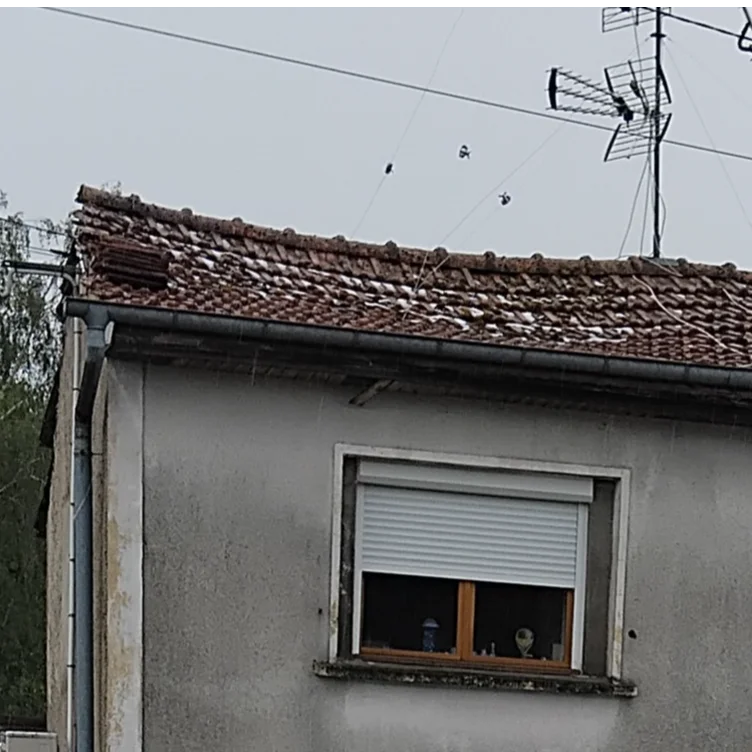 cagnotte solidarité