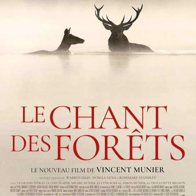 cagnotte soirée
