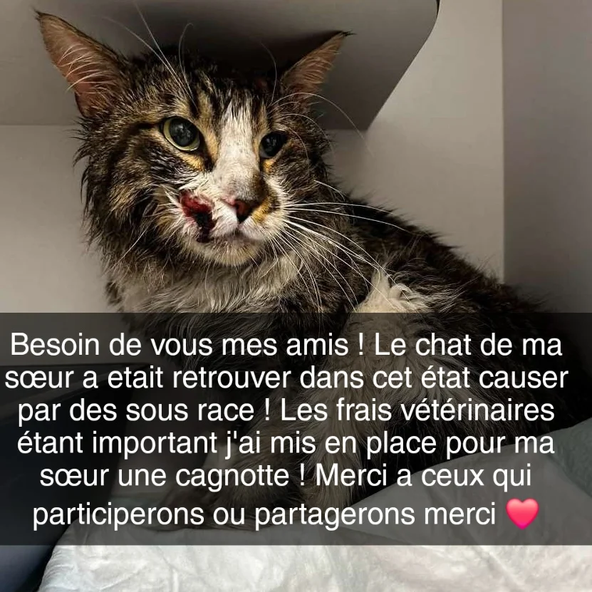 cagnotte autre