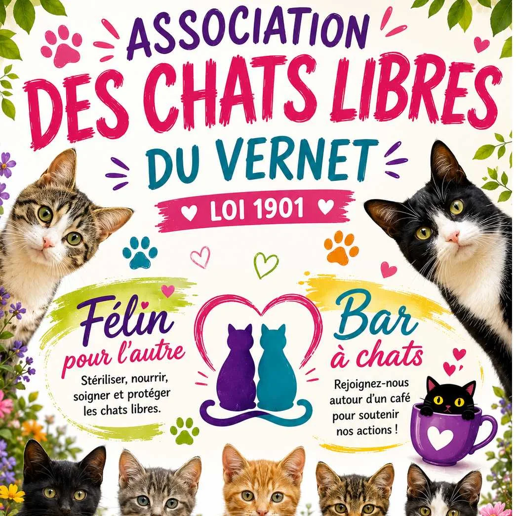 cagnotte solidarité