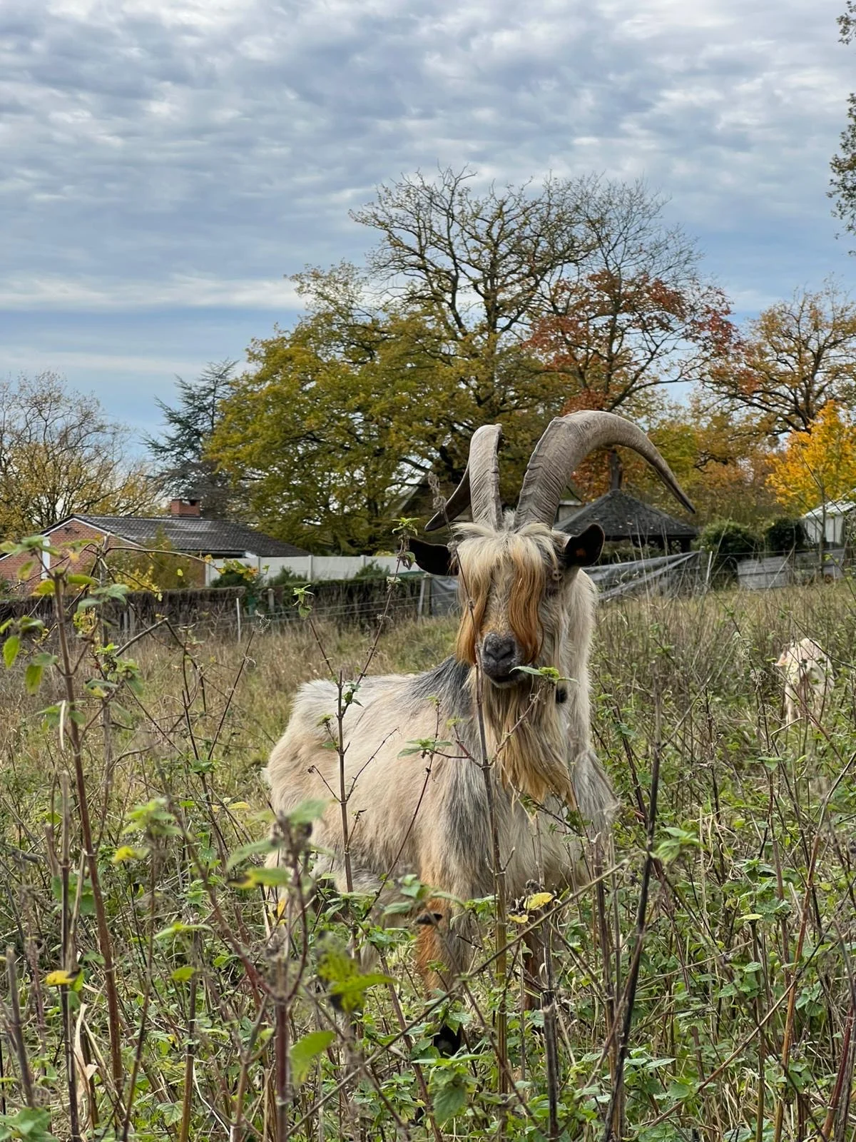 cagnotte agriculture