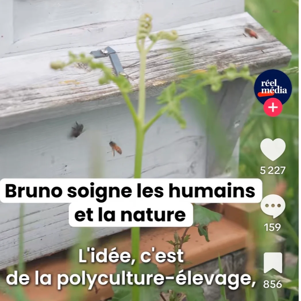 cagnotte solidarité