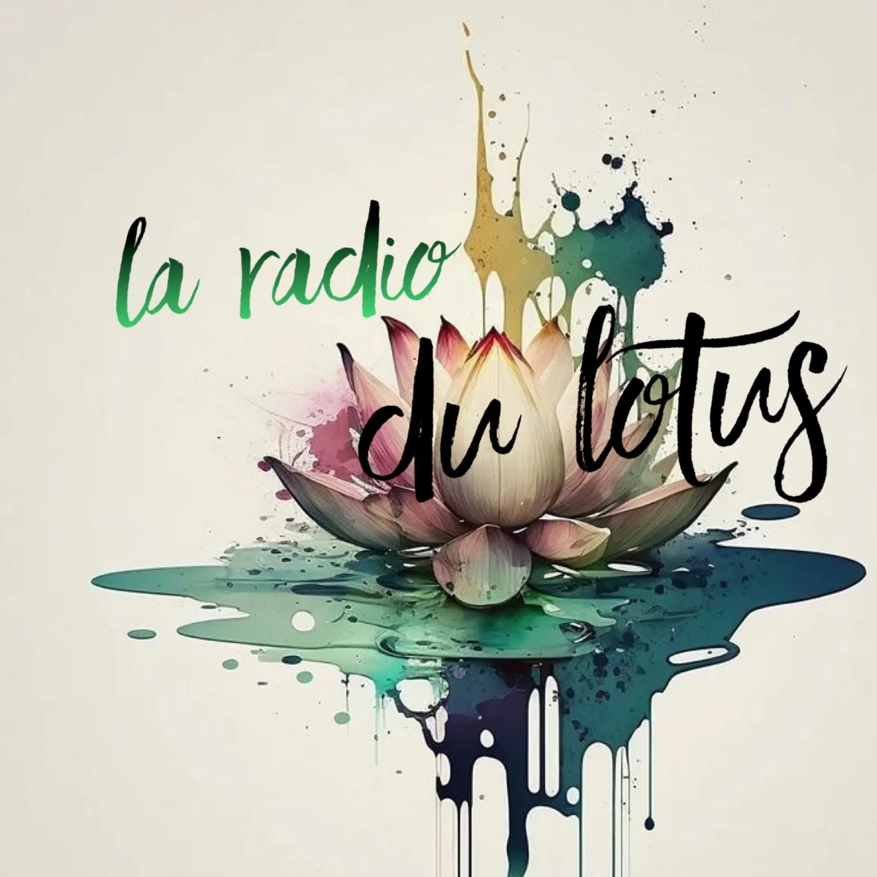 cagnotte culture