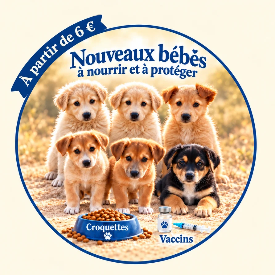 cagnotte cause animale