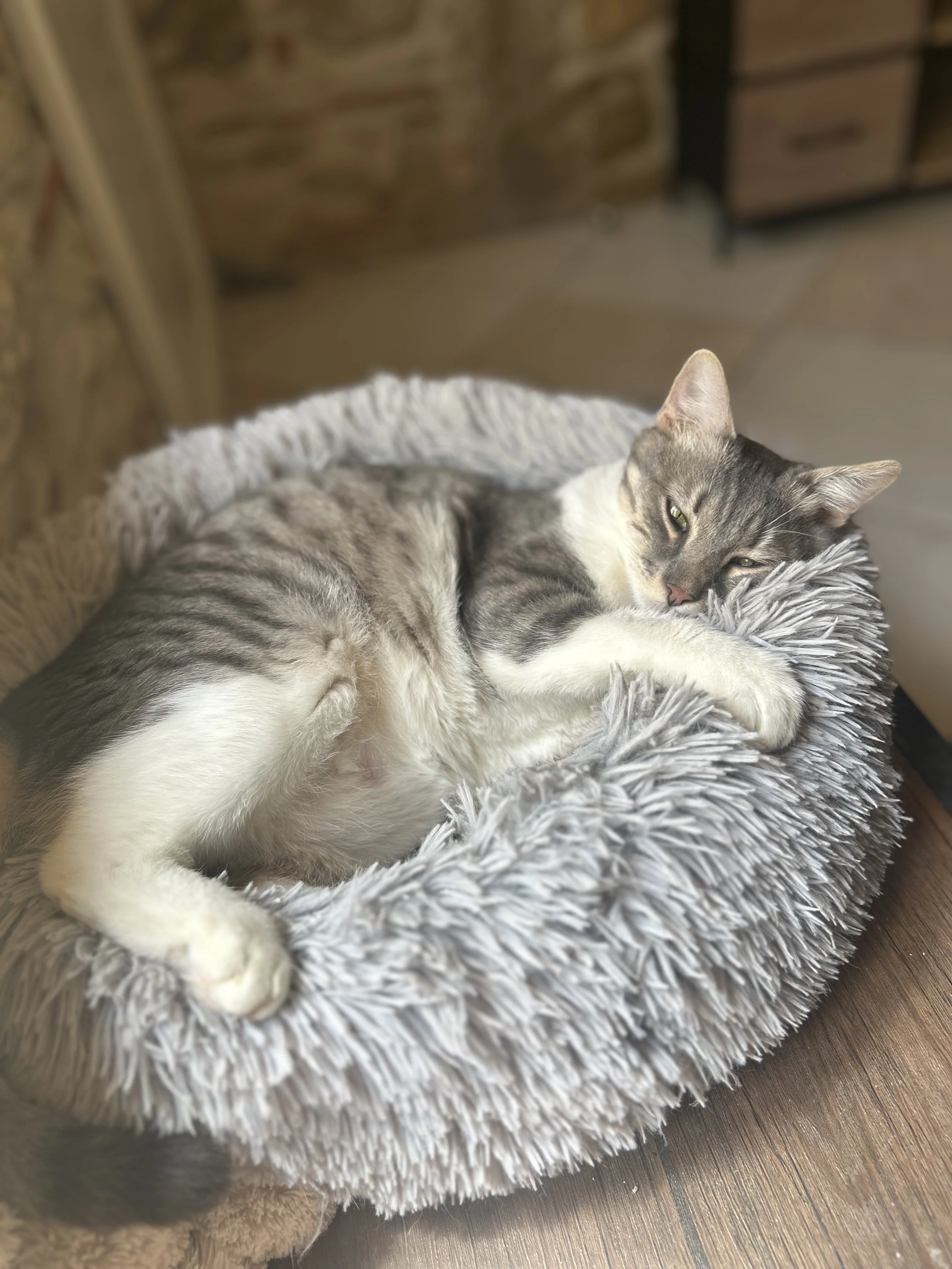 cagnotte autre