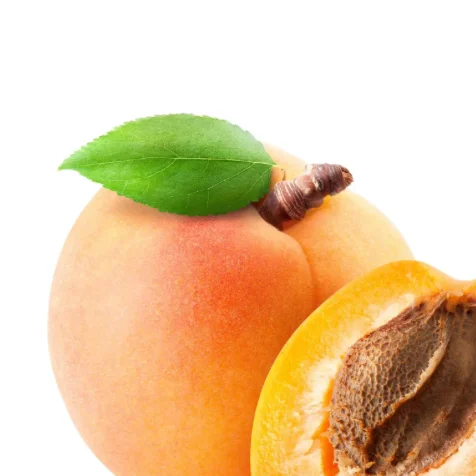 cagnotte solidarité