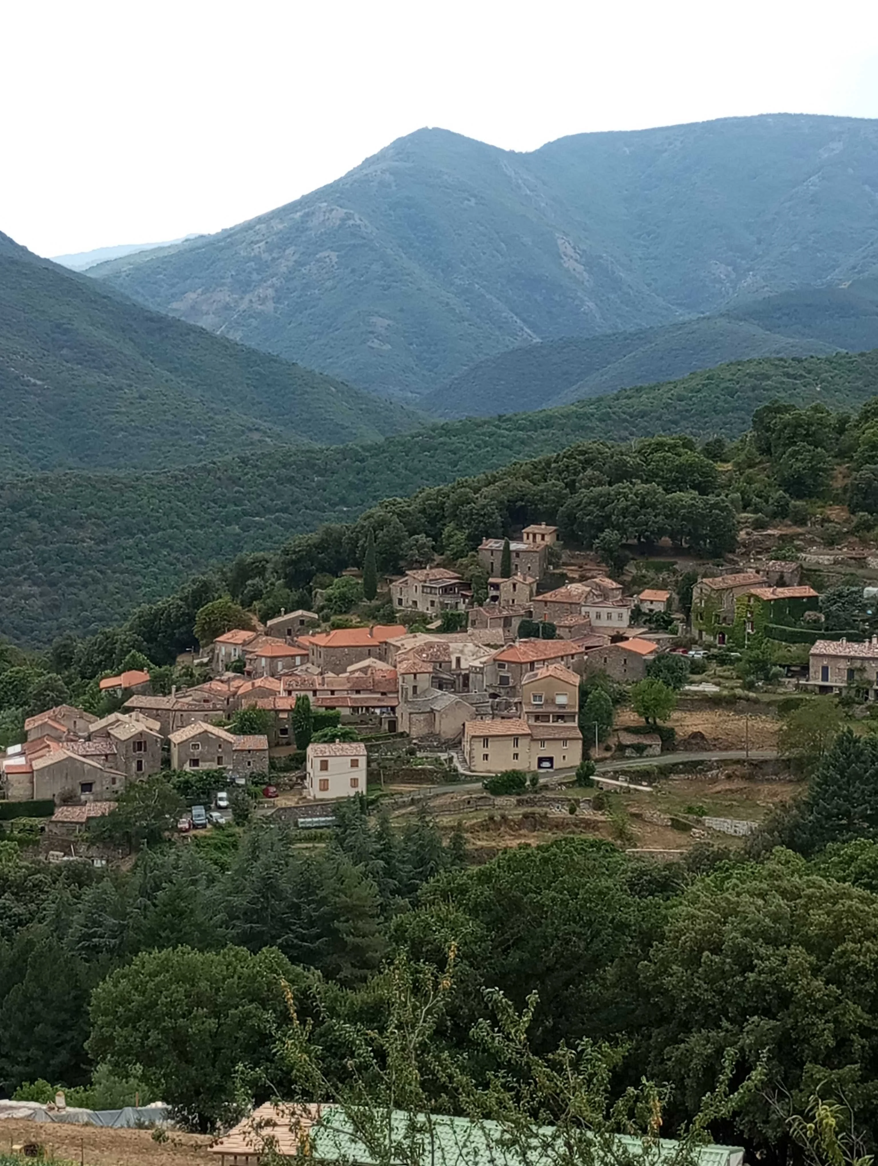 cagnotte patrimoine